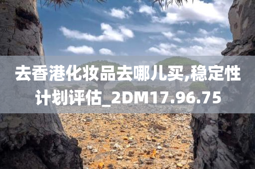 去香港化妆品去哪儿买,稳定性计划评估_2DM17.96.75