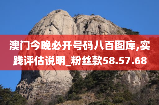 澳门今晚必开号码八百图库,实践评估说明_粉丝款58.57.68