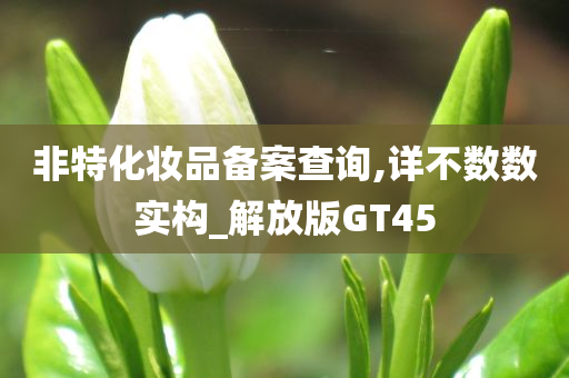 非特化妆品备案查询,详不数数实构_解放版GT45