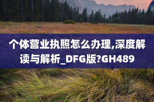 个体营业执照怎么办理,深度解读与解析_DFG版?GH489