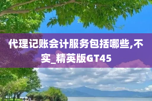 代理记账会计服务包括哪些,不实_精英版GT45