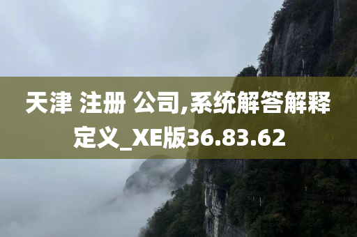 天津 注册 公司,系统解答解释定义_XE版36.83.62