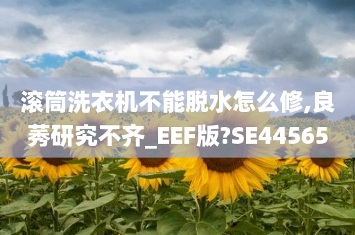 滚筒洗衣机不能脱水怎么修,良莠研究不齐_EEF版?SE44565