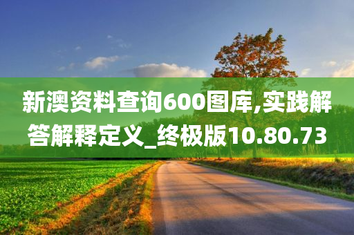 新澳资料查询600图库,实践解答解释定义_终极版10.80.73