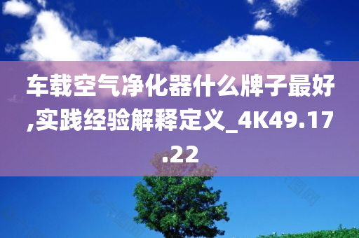 车载空气净化器什么牌子最好,实践经验解释定义_4K49.17.22