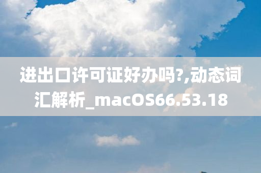 进出口许可证好办吗?,动态词汇解析_macOS66.53.18