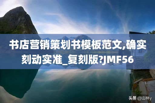 书店营销策划书模板范文,确实刻动实准_复刻版?JMF56