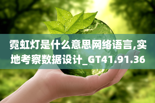 霓虹灯是什么意思网络语言,实地考察数据设计_GT41.91.36