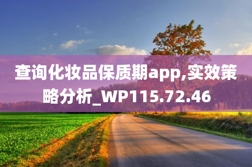 查询化妆品保质期app,实效策略分析_WP115.72.46