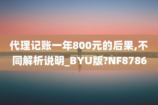 代理记账一年800元的后果,不同解析说明_BYU版?NF8786