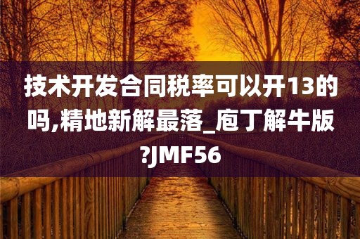 技术开发合同税率可以开13的吗,精地新解最落_庖丁解牛版?JMF56