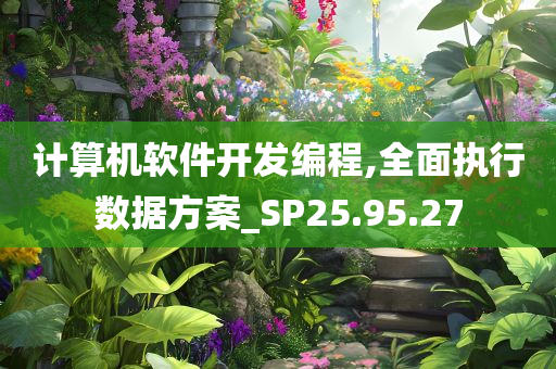 计算机软件开发编程,全面执行数据方案_SP25.95.27