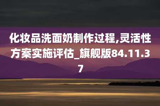 化妆品洗面奶制作过程,灵活性方案实施评估_旗舰版84.11.37