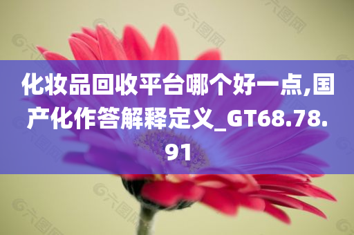 化妆品回收平台哪个好一点,国产化作答解释定义_GT68.78.91