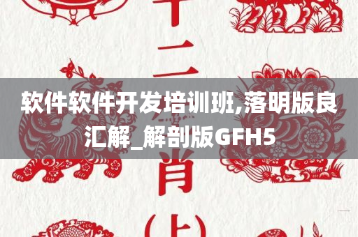 软件软件开发培训班,落明版良汇解_解剖版GFH5