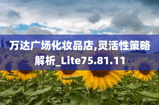 万达广场化妆品店,灵活性策略解析_Lite75.81.11