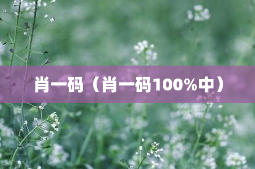 肖一码（肖一码100%中）