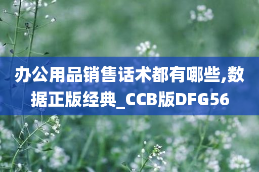 办公用品销售话术都有哪些,数据正版经典_CCB版DFG56