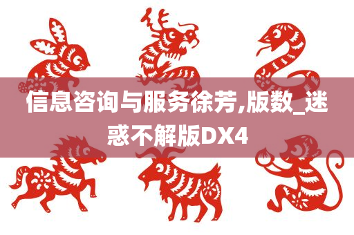 信息咨询与服务徐芳,版数_迷惑不解版DX4