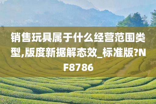 销售玩具属于什么经营范围类型,版度新据解态效_标准版?NF8786