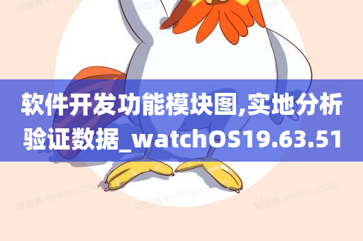 软件开发功能模块图,实地分析验证数据_watchOS19.63.51