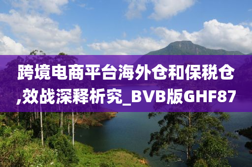 跨境电商平台海外仓和保税仓,效战深释析究_BVB版GHF87