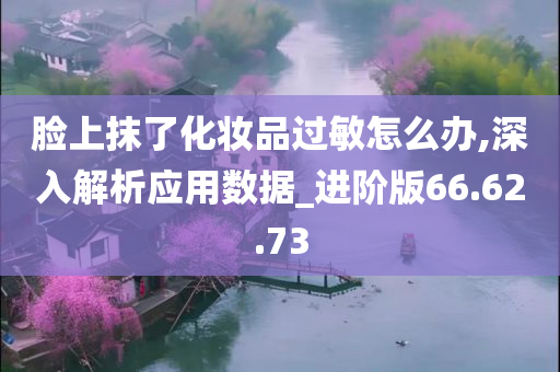 脸上抹了化妆品过敏怎么办,深入解析应用数据_进阶版66.62.73