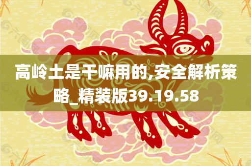 高岭土是干嘛用的,安全解析策略_精装版39.19.58