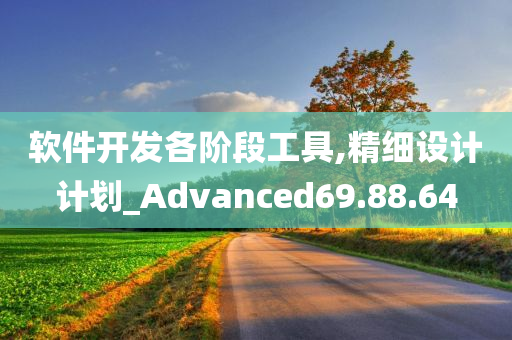 软件开发各阶段工具,精细设计计划_Advanced69.88.64