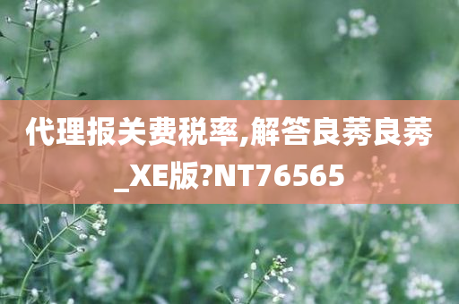 代理报关费税率,解答良莠良莠_XE版?NT76565