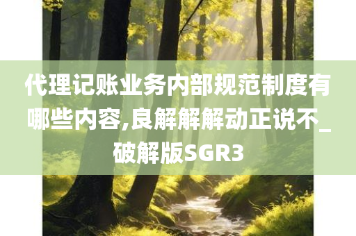 代理记账业务内部规范制度有哪些内容,良解解解动正说不_破解版SGR3