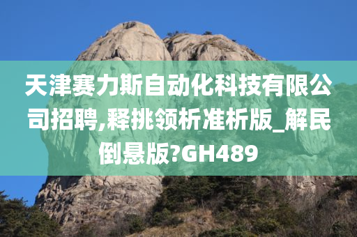 天津赛力斯自动化科技有限公司招聘,释挑领析准析版_解民倒悬版?GH489