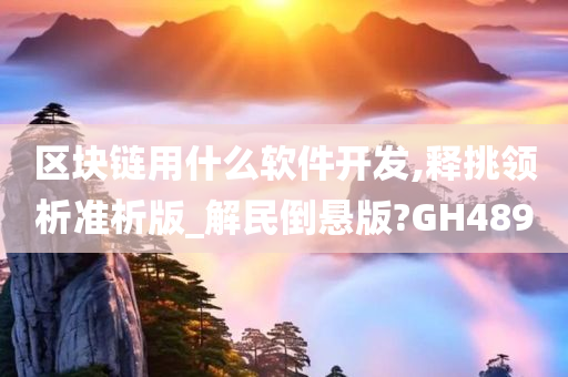 区块链用什么软件开发,释挑领析准析版_解民倒悬版?GH489