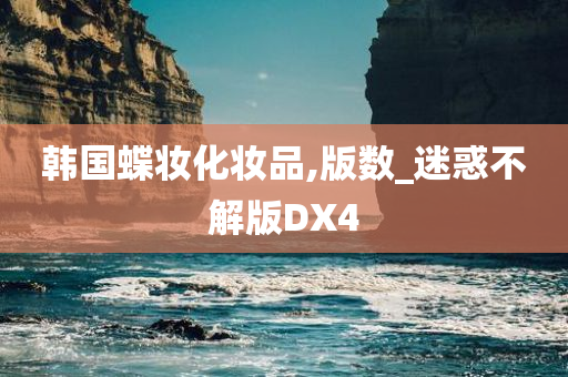 韩国蝶妆化妆品,版数_迷惑不解版DX4