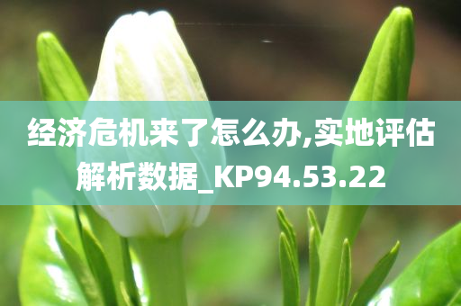 经济危机来了怎么办,实地评估解析数据_KP94.53.22