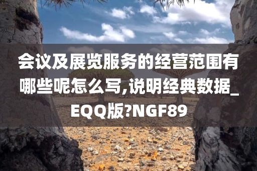 会议及展览服务的经营范围有哪些呢怎么写,说明经典数据_EQQ版?NGF89