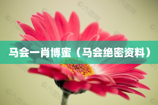 马会一肖博蜜（马会绝密资料）