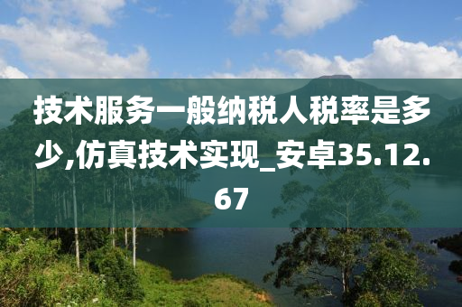 技术服务一般纳税人税率是多少,仿真技术实现_安卓35.12.67