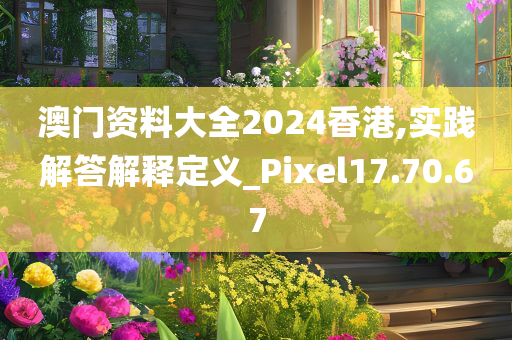 澳门资料大全2024香港,实践解答解释定义_Pixel17.70.67