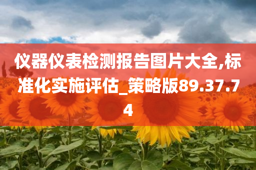 仪器仪表检测报告图片大全,标准化实施评估_策略版89.37.74