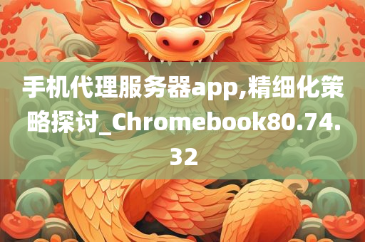 手机代理服务器app,精细化策略探讨_Chromebook80.74.32