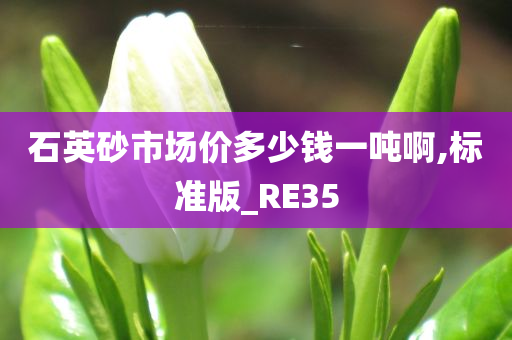 石英砂市场价多少钱一吨啊,标准版_RE35