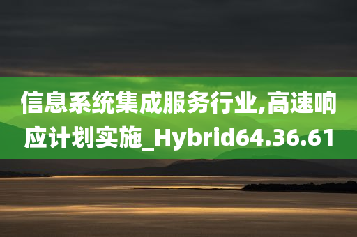 信息系统集成服务行业,高速响应计划实施_Hybrid64.36.61