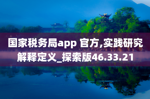 国家税务局app 官方,实践研究解释定义_探索版46.33.21