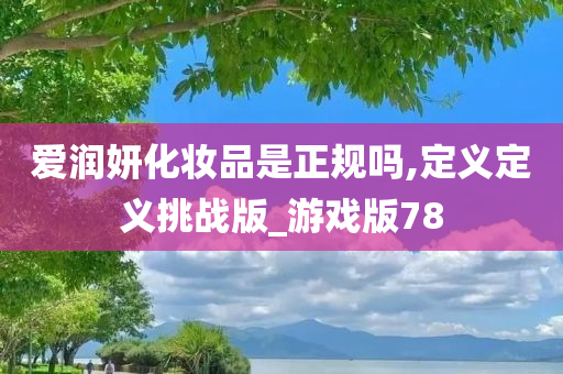 爱润妍化妆品是正规吗,定义定义挑战版_游戏版78