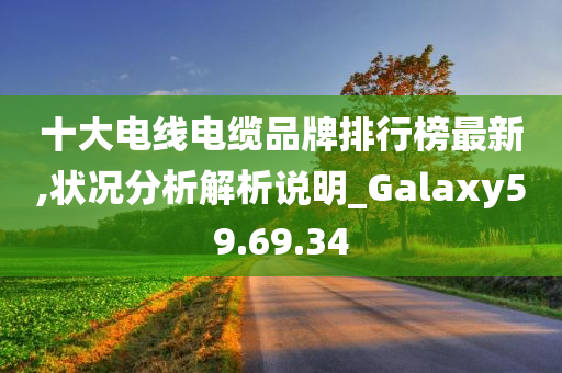 十大电线电缆品牌排行榜最新,状况分析解析说明_Galaxy59.69.34