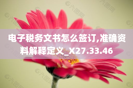 电子税务文书怎么签订,准确资料解释定义_X27.33.46