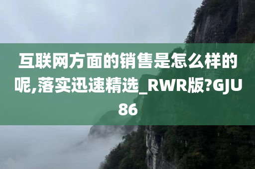 互联网方面的销售是怎么样的呢,落实迅速精选_RWR版?GJU86