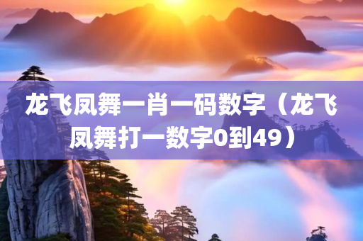 龙飞凤舞一肖一码数字（龙飞凤舞打一数字0到49）