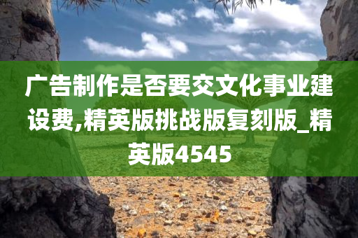 广告制作是否要交文化事业建设费,精英版挑战版复刻版_精英版4545